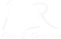 Run 2 Rescue